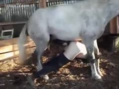 Man enjoys horse penis deep inside his butt hole 